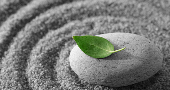 Mindful Leap in a Zen Rock Garden